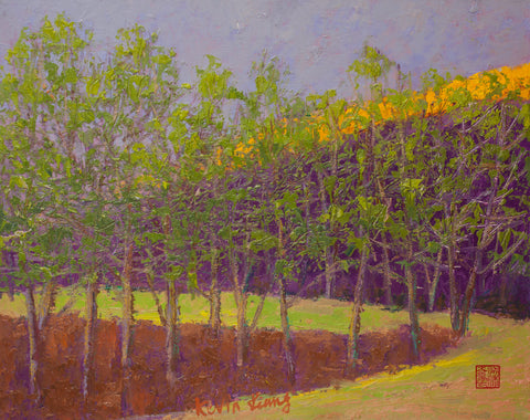 "Purple Hill"  Kevin Liang  2020  original oil on canvas with frame 23" x 27"