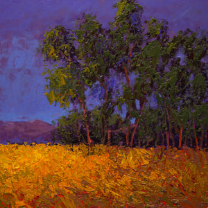 Sunset Hill (sold)