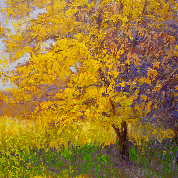 October Light, oil on canvas 29"x29"x1.5", 2022