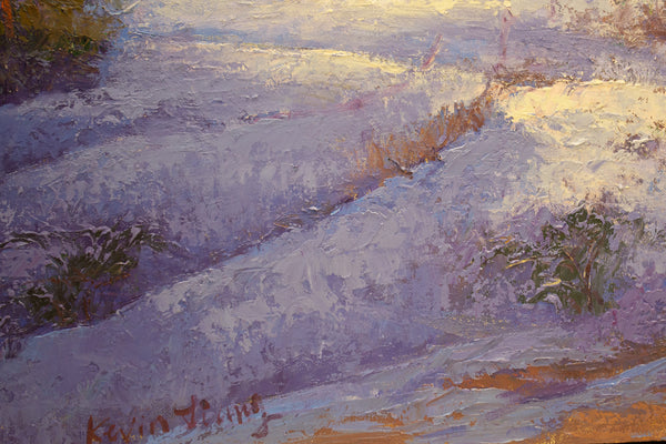 Winter Shadow, oil on canvas 25'x31"x1.5", 2020