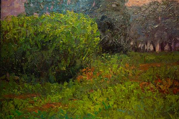 Summer Dawn, oil on canvas 25"x31"x1.5", 2021