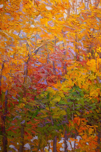 White Mountain Series 9, oil on canvas 42"x50", 2023