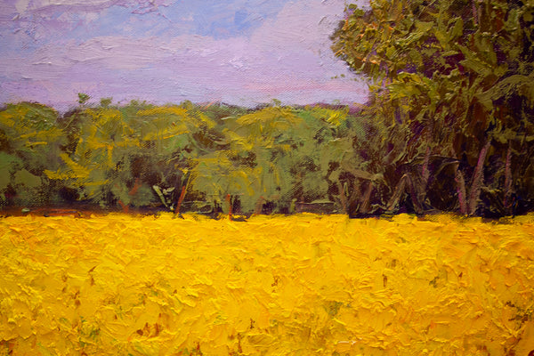 Yellow Field I, 2023, oil on canvas 27"x37"x1.5"