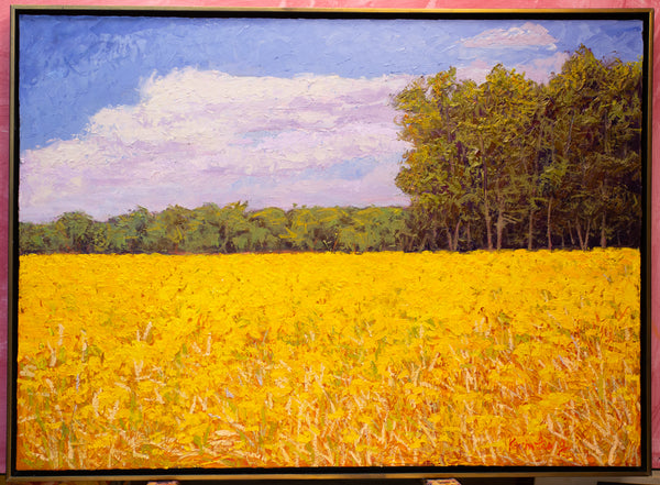 Yellow Field I, 2023, oil on canvas 27"x37"x1.5"