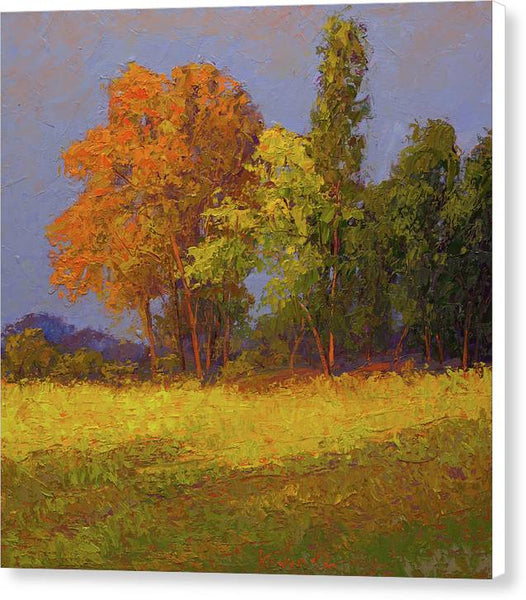 Autumn Last Ray - Canvas Print