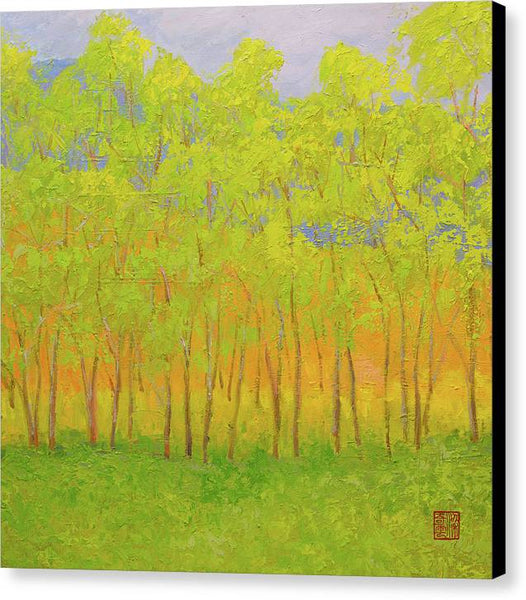 Early Spring - Canvas Print